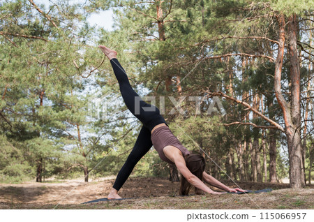 A young attractive woman in sportswear practices yoga in the forest. 115066957
