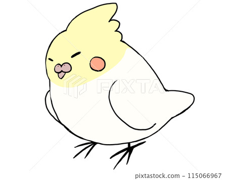玄鳳鸚鵡 玄鳳鸚鵡 115066967