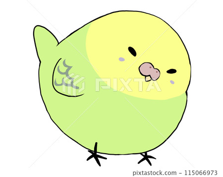 Budgerigar Green 115066973