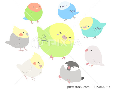 Parakeet gathering Parakeet gathering 115066983