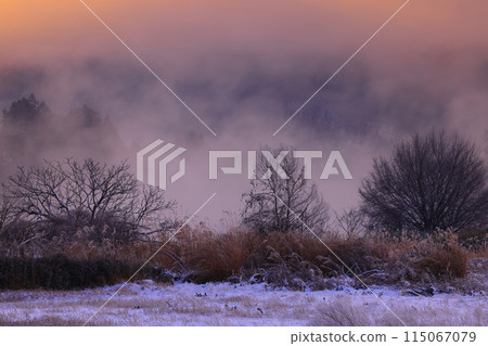 岩手縣北上市 北上川的冬景 115067079