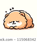 睡覺的博美犬 115068342