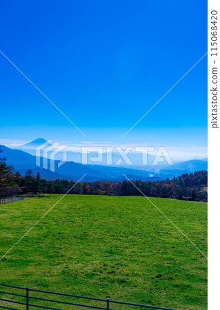 [Mt. Fuji material] Mt. Fuji and blue sky seen from Yamanashi Prefectural Makiba Park [Yamanashi Prefecture] 115068420
