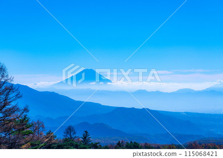 [Mt. Fuji material] Mt. Fuji and blue sky seen from Yamanashi Prefectural Makiba Park [Yamanashi Prefecture] 115068421