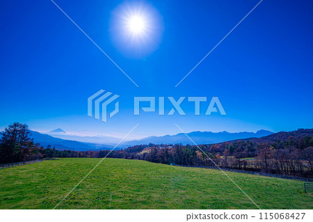 [Mt. Fuji material] Mt. Fuji and blue sky seen from Yamanashi Prefectural Makiba Park [Yamanashi Prefecture] 115068427