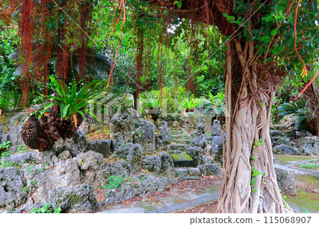 Ishigaki Island: Ryukyu-style dry landscape garden 115068907