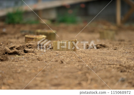 Pine piles (foundation piles) Pine piles (foundation piles) 115068972