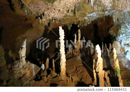 石垣島珊瑚礁石灰岩洞穴 石垣島珊瑚礁石灰岩洞穴 115069431
