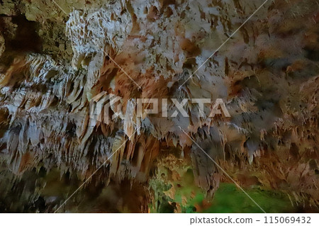 石垣島珊瑚礁石灰岩洞穴 石垣島珊瑚礁石灰岩洞穴 115069432