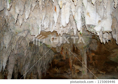 石垣島珊瑚礁石灰岩洞穴 115069446