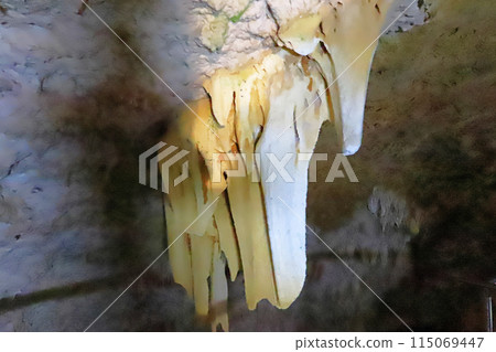 Ishigaki Island: Coral Reef Cave 115069447