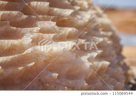 埃塞俄比亞 鹽 岩鹽 115069544