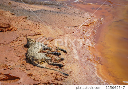 Scenery of Black Water Spring 115069547