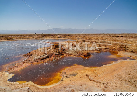 埃塞俄比亞 自然 花莖 115069549