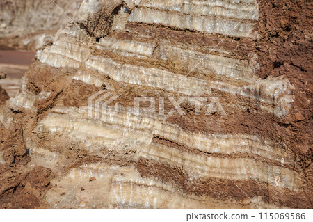 Salt Valley Salt Valley 115069586