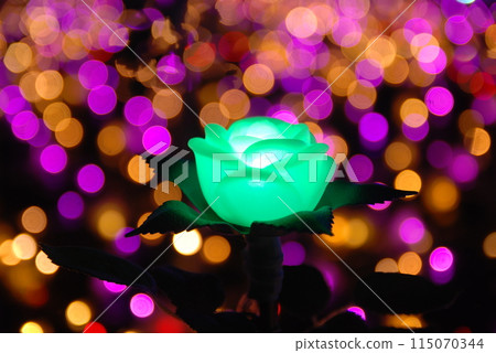 Rose flower illumination Rose flower illumination 115070344