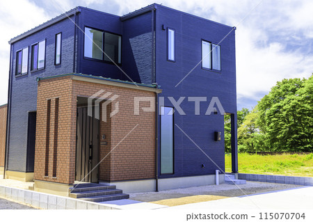 Newly built house exterior: Blue house Newly built house exterior: Blue house 115070704