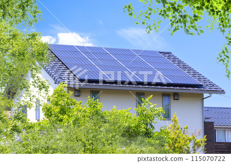 Eco image: Fresh greenery, eco-house and blue sky Eco image: Fresh greenery, eco-house and blue sky 115070722