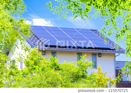 Eco image: Fresh greenery, eco-house and blue sky Eco image: Fresh greenery, eco-house and blue sky 115070725