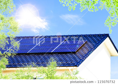 Eco image: Fresh greenery, eco-house and blue sky Eco image: Fresh greenery, eco-house and blue sky 115070732