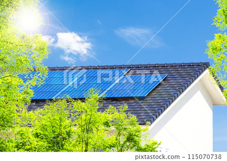 Fresh greenery, eco-house and blue sky 115070738