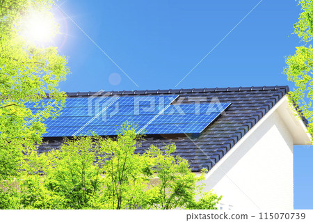 Fresh greenery, eco-house and blue sky 115070739