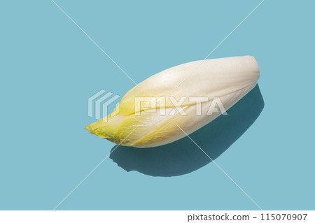 close up of Belgian endive or witloof from above isolated over light blue 115070907