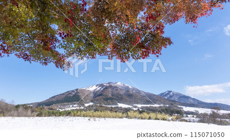 蒜山高原的秋葉與雪景 115071050