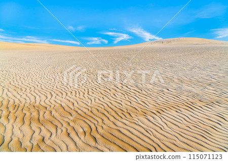 鳥取沙丘 風吹起沙丘和藍天 115071123