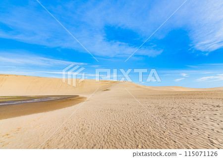 鳥取沙丘 風吹起沙丘和藍天 115071126