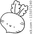 Radish outline 115071240