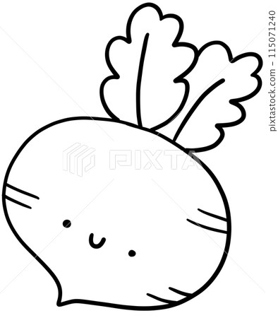 Radish outline Radish outline 115071240