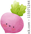 Radish 115071244