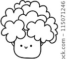 Broccoli outline 115071246