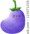 Eggplant 115071258