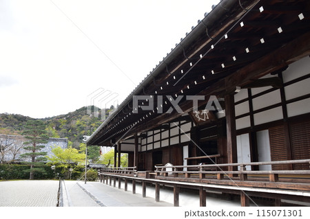日本春天的京都、世界文化遺產天龍寺、北條的歷史建築和美麗的日本花園 115071301