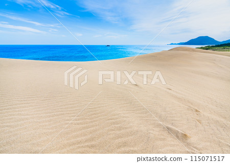 鳥取沙丘 - 風吹沙丘和日本海 115071517