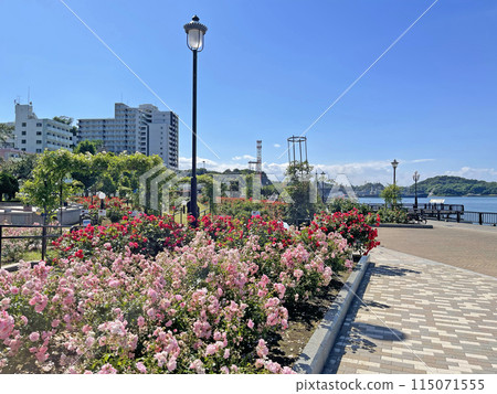 Yokosuka Verny Park, Shioiri-cho, Yokosuka City, Kanagawa Prefecture 115071555