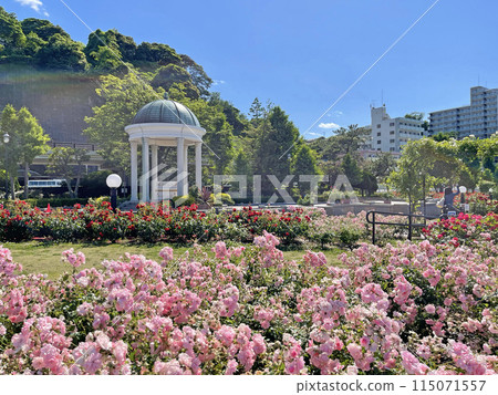 神奈川縣橫須賀市鹽入町橫須賀維爾尼公園 神奈川縣橫須賀市鹽入町橫須賀維爾尼公園 115071557