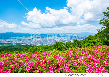 View from the observation deck at Nishizao Park View from the observation deck at Nishizao Park 115071866