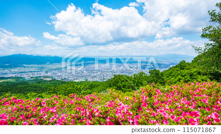 從西藏王公園展望廣場眺望的景色 115071867