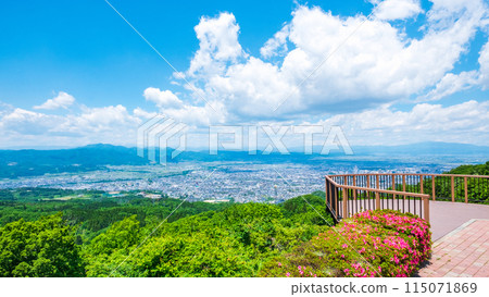 西藏公園展望廣場 115071869