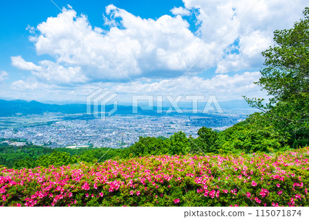 View from the observation deck at Nishizao Park View from the observation deck at Nishizao Park 115071874