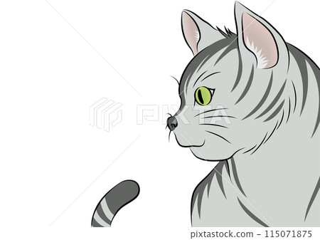 Yellow Cat Yellow Cat 115071875
