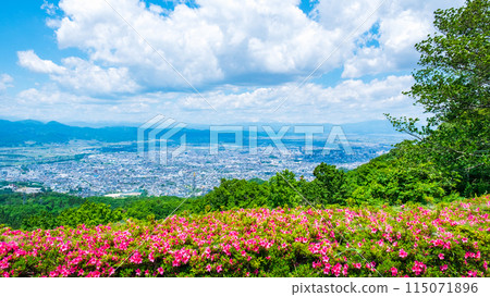 從西藏王公園展望廣場眺望的景色 從西藏王公園展望廣場眺望的景色 115071896