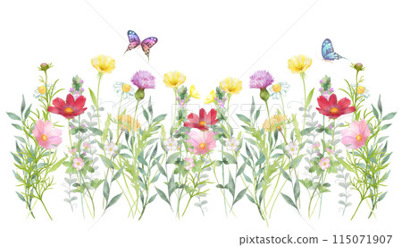 Watercolor painting of a flower field with various flowers and butterflies 115071907