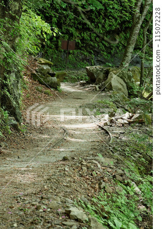Nishizawa Valley, remains of the trolley track Nishizawa Valley, remains of the trolley track 115072228