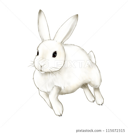 Jumping Snow Hare Jumping Snow Hare 115072315