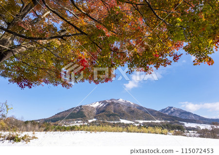 蒜山高原的秋葉與雪景 115072453
