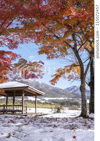 蒜山高原的秋葉與雪景 蒜山高原的秋葉與雪景 115072457